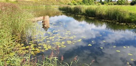 Peilbesluit helpt water beter vasthouden