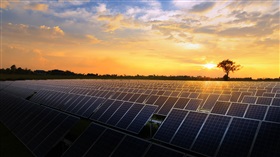 Vraag van de week | Is het vrijstellingsbesluit van toepassing in agrarisch gebied voor de plaatsing van zonnepanelen op de grond?