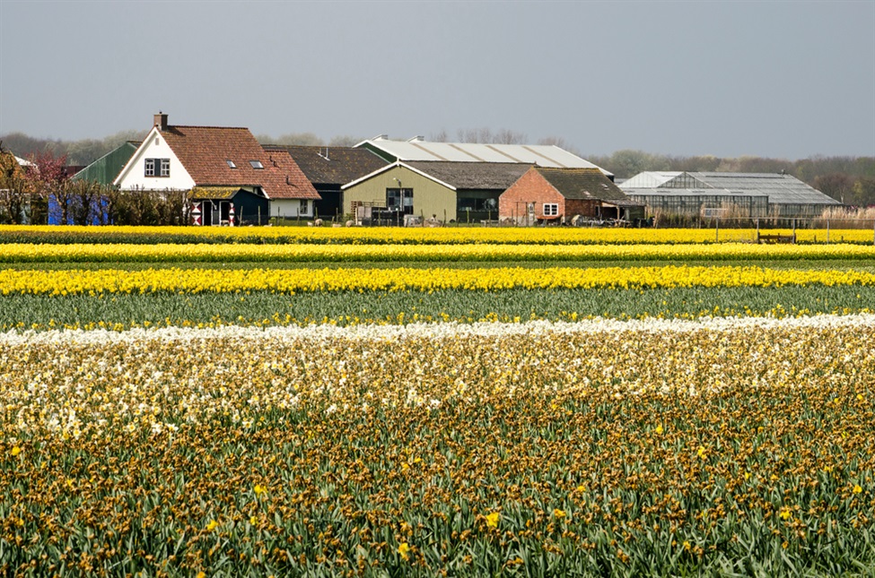 De ‘woningbijgebouwen’ bij een zonevreemde functiewijziging van ‘landbouw’ naar ‘wonen’: zowel de ‘omvang’ als de ‘concrete invulling’ dienen beoordeeld te worden
